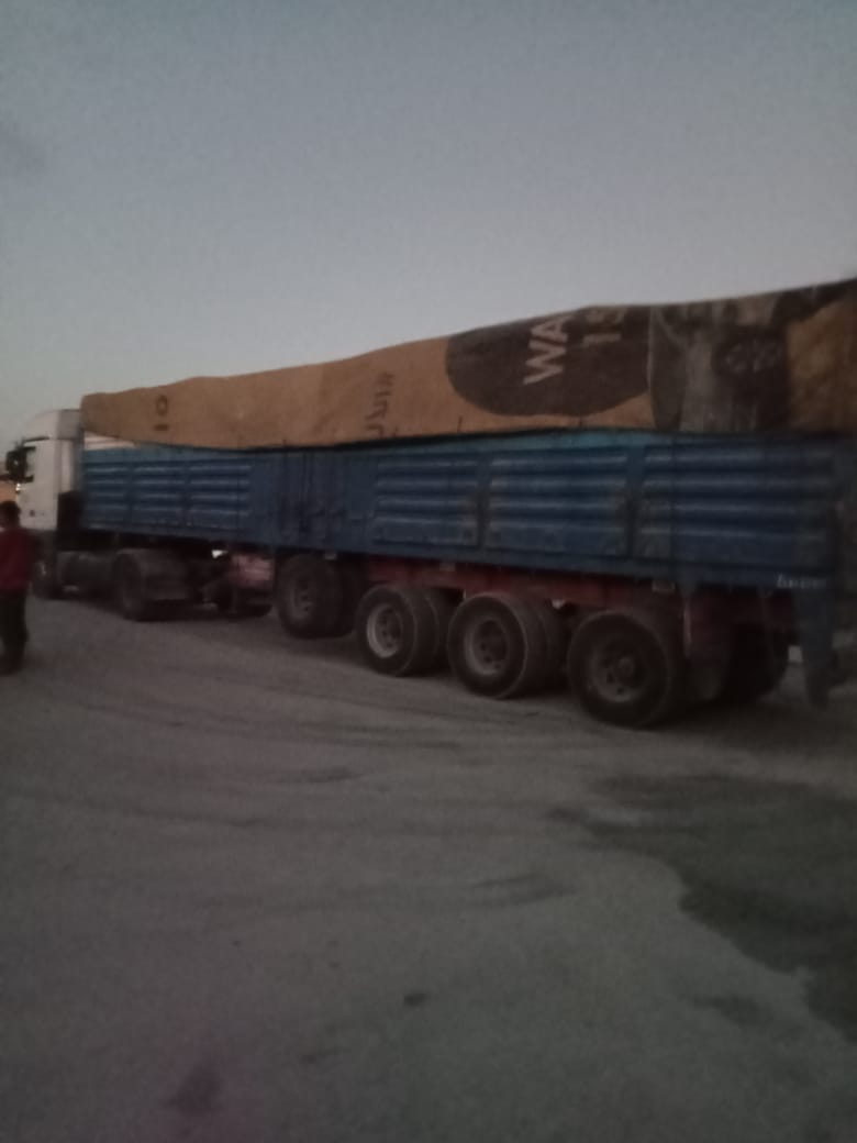 استلام مصانع الأعلاف للذرة الأصفر تفعيلا لمنظومة الزراعة التعاقدية