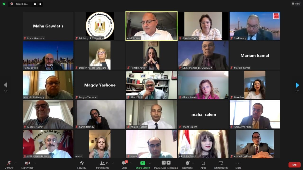 لقاء عبر تطبيق زووم مع 35 مصريا لمناقشة أوضاع الجالية 