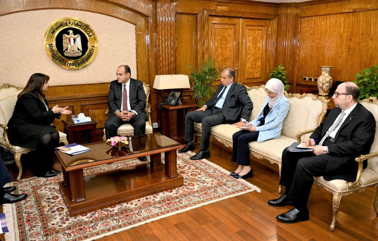 مشروع إنشاء شركة مساهمة للمصريين بالخارج