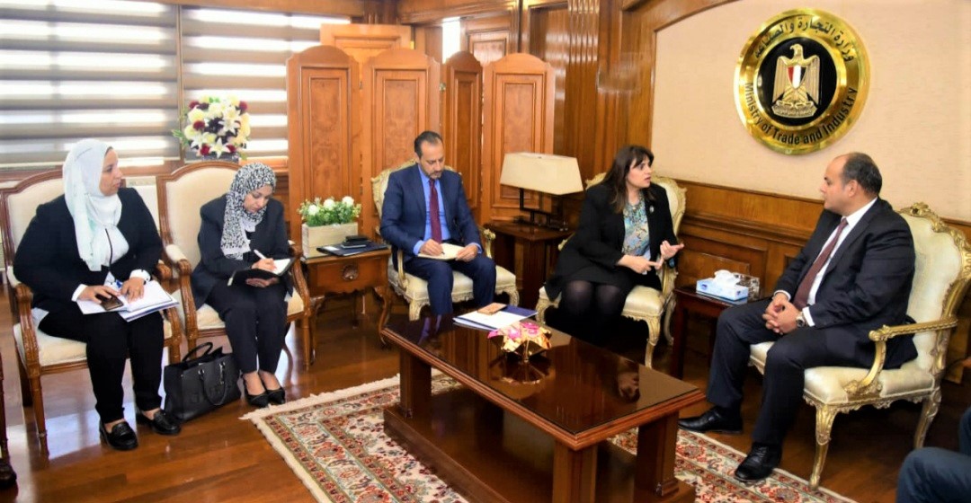 مشروع إنشاء شركة مساهمة للمصريين بالخارج