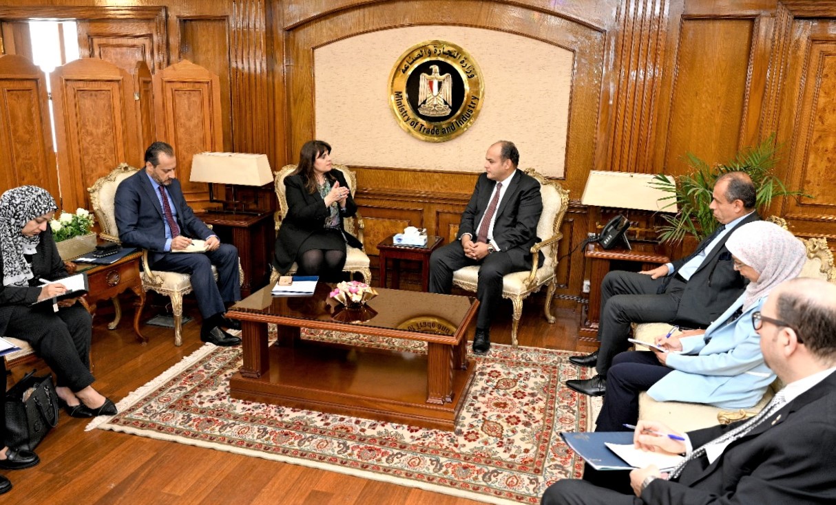 مشروع إنشاء شركة مساهمة للمصريين بالخارج