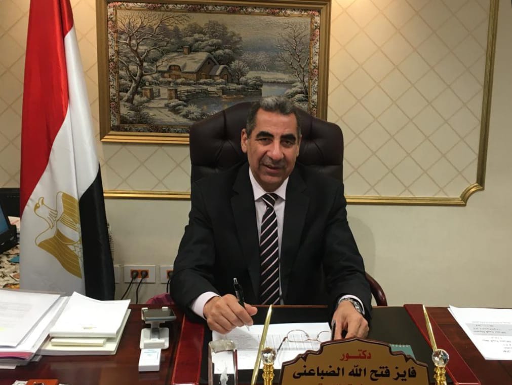 الدكتور فايز الضباعنى رئيس مصلحة الضرائب المصرية