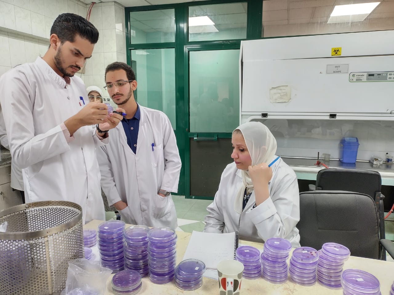 فحص 992 الف طن بطاطس للتصدير منذ بداية العام وحتى نهاية يونيو
