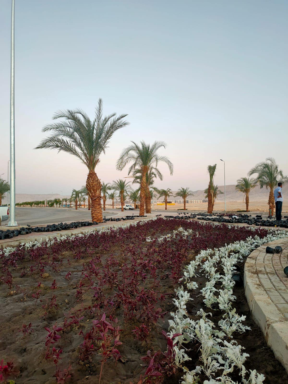 مشروعات مدينة غرب قنا