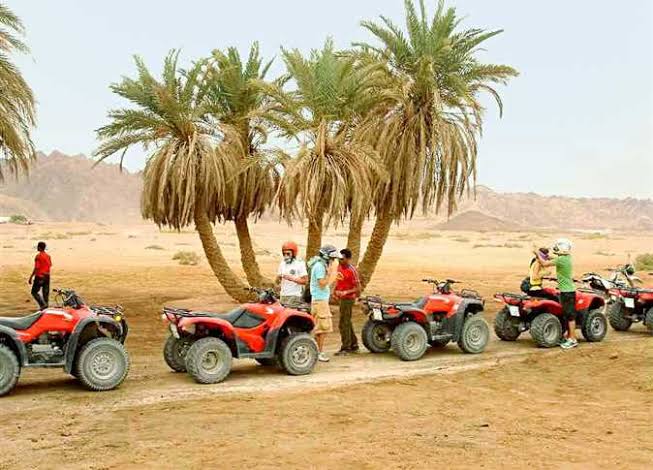 تقنين وضع 10 مراكز للسفاري الجبلي بمحافظتي جنوب سيناء والبحر الأحمر