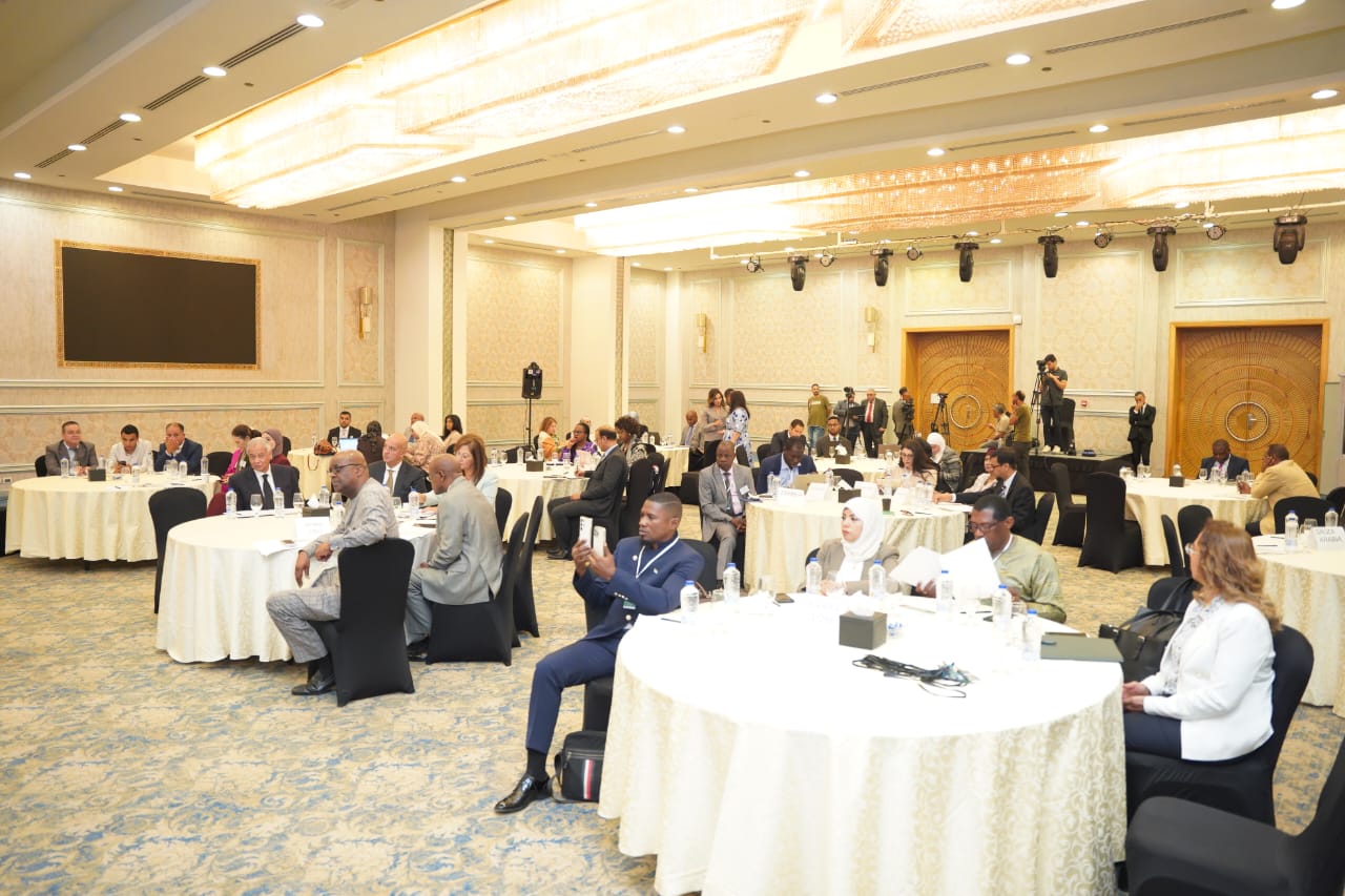 مساعد وزيرة التخطيط والتنمية الاقتصادية تستعرض التجربة المصرية