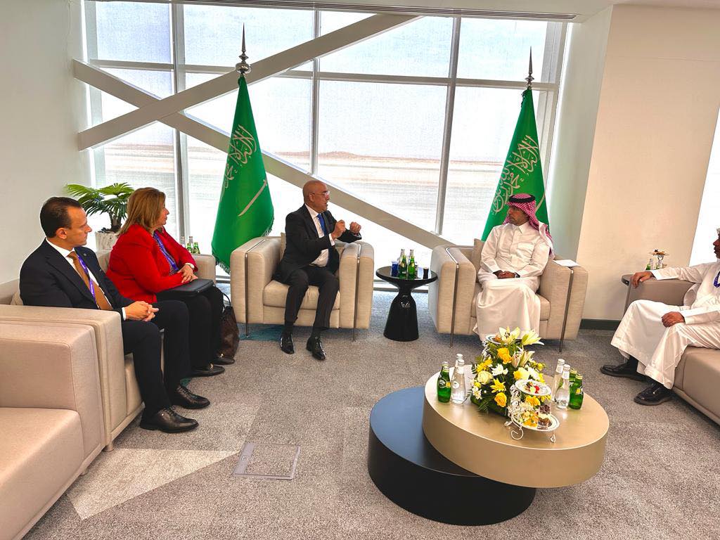وزير الإسكان يلتقى نظيره السعودي