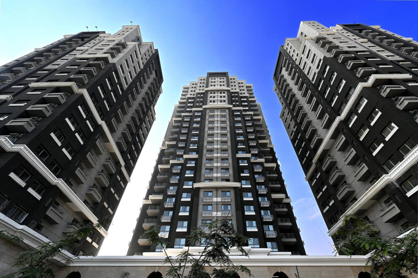مشروعات شركة المقاولون العرب