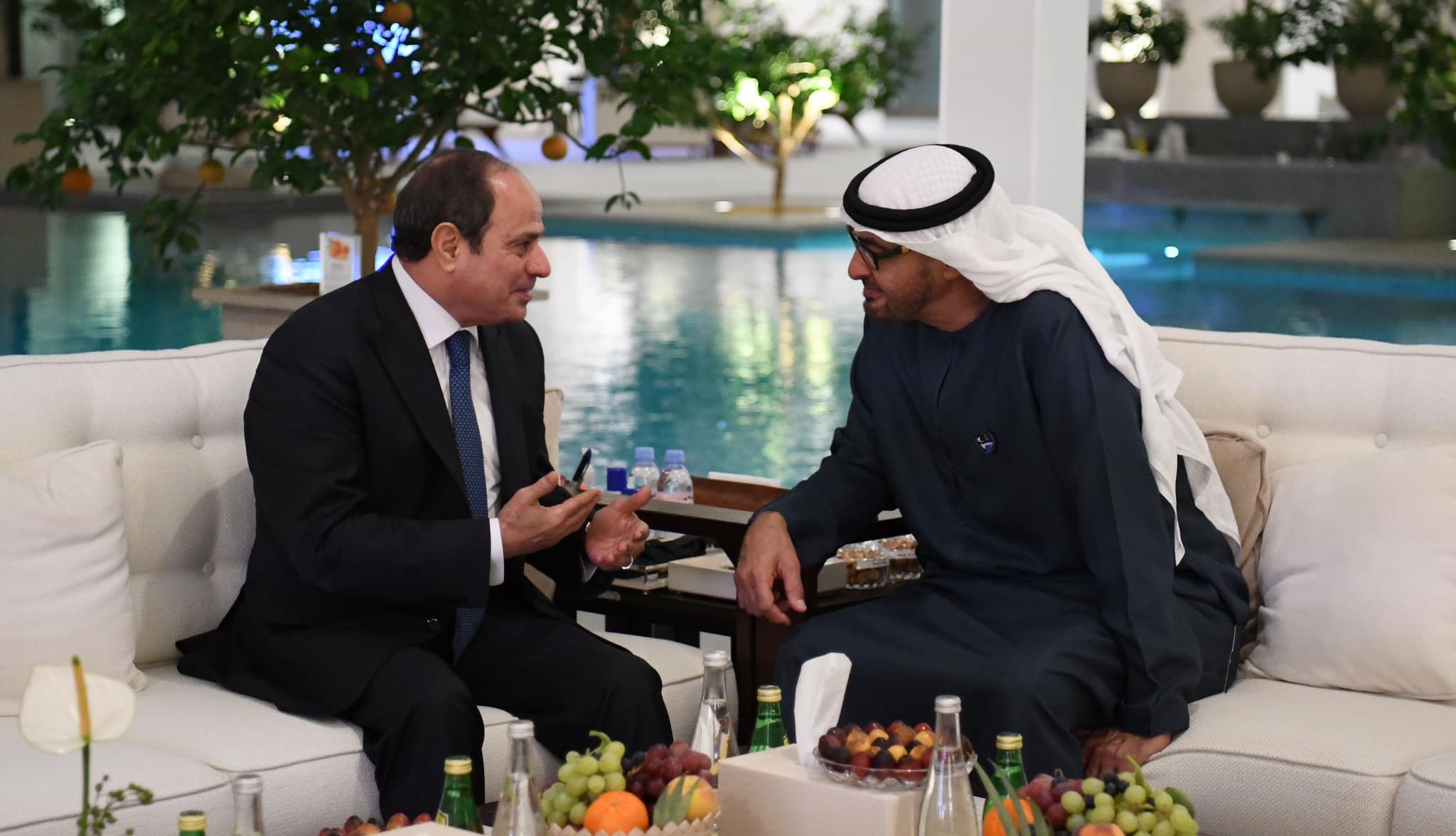 السيسي مع رئيس دولة الإمارات