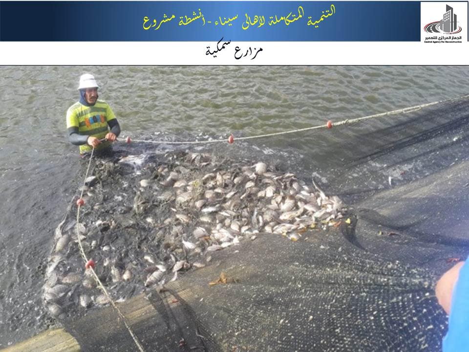 مشروعات وزارة الإسكان