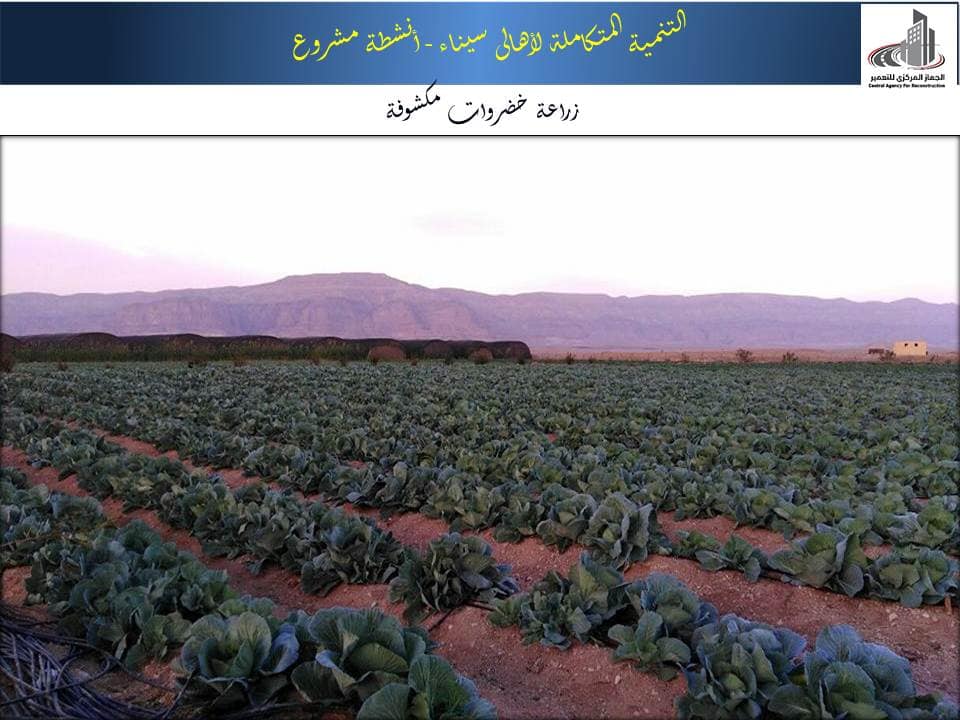 مشروعات وزارة الإسكان