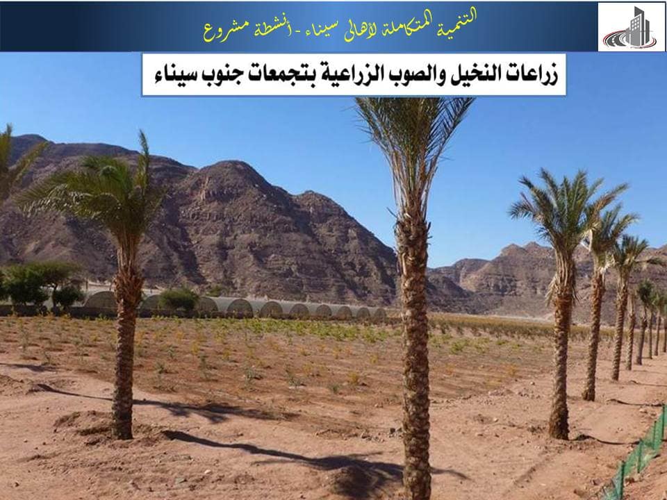 مشروعات وزارة الإسكان
