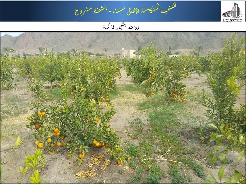 مشروعات وزارة الإسكان