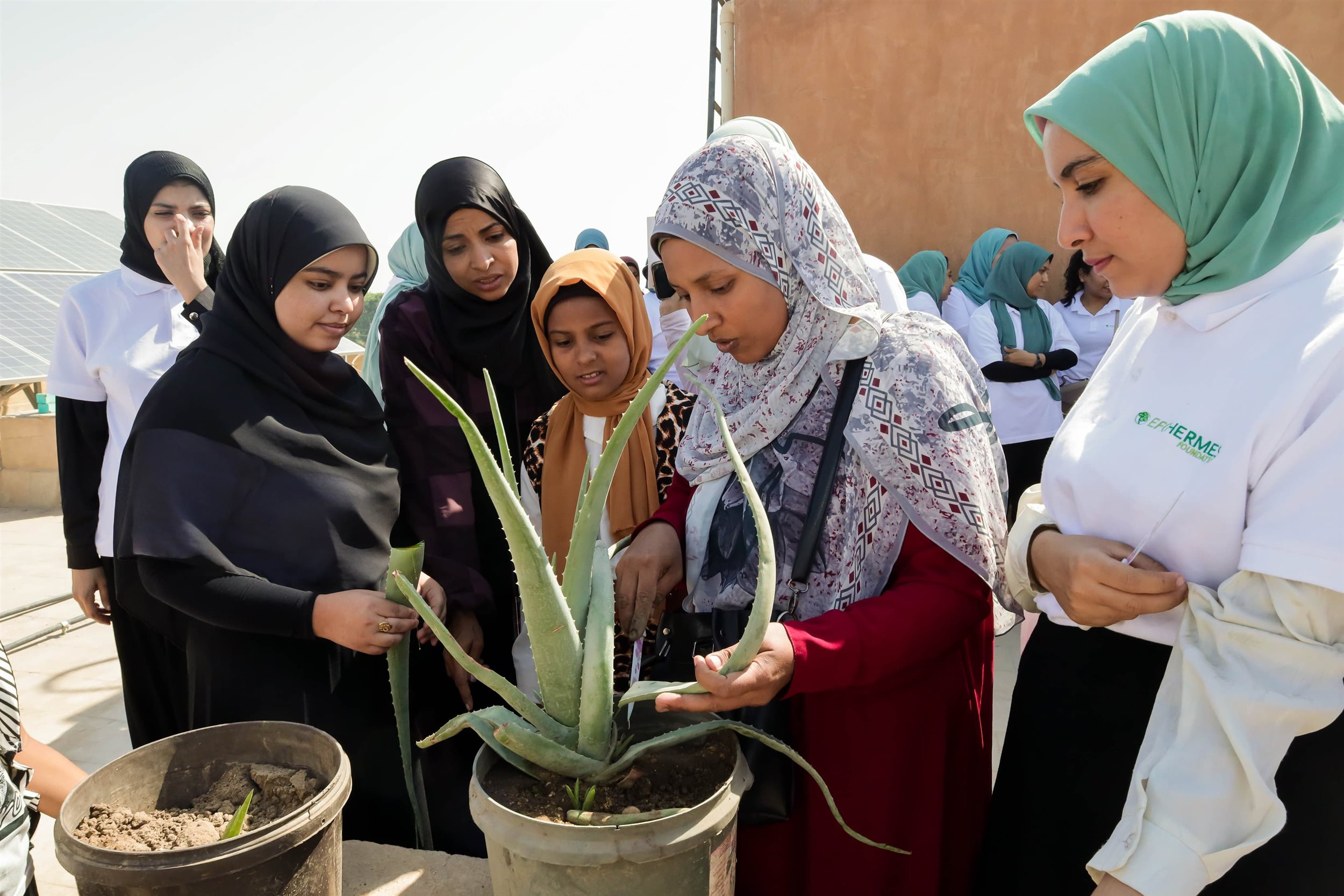 مبادرة �البصمة الخضراء�