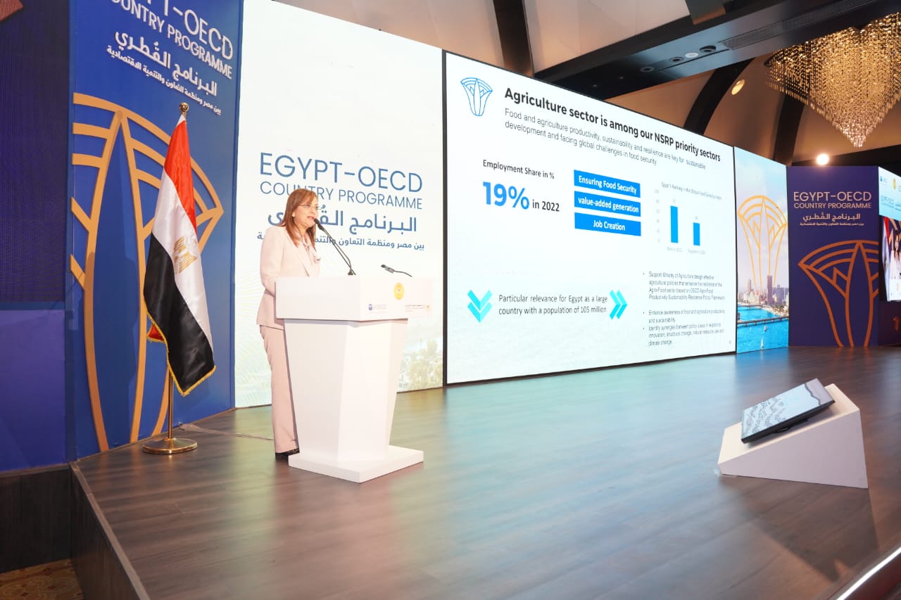 وزيرة التخطيط تطلق البرنامج القطري لمصر بالتعاون مع منظمة التعاون والتنمية الاقتصادية