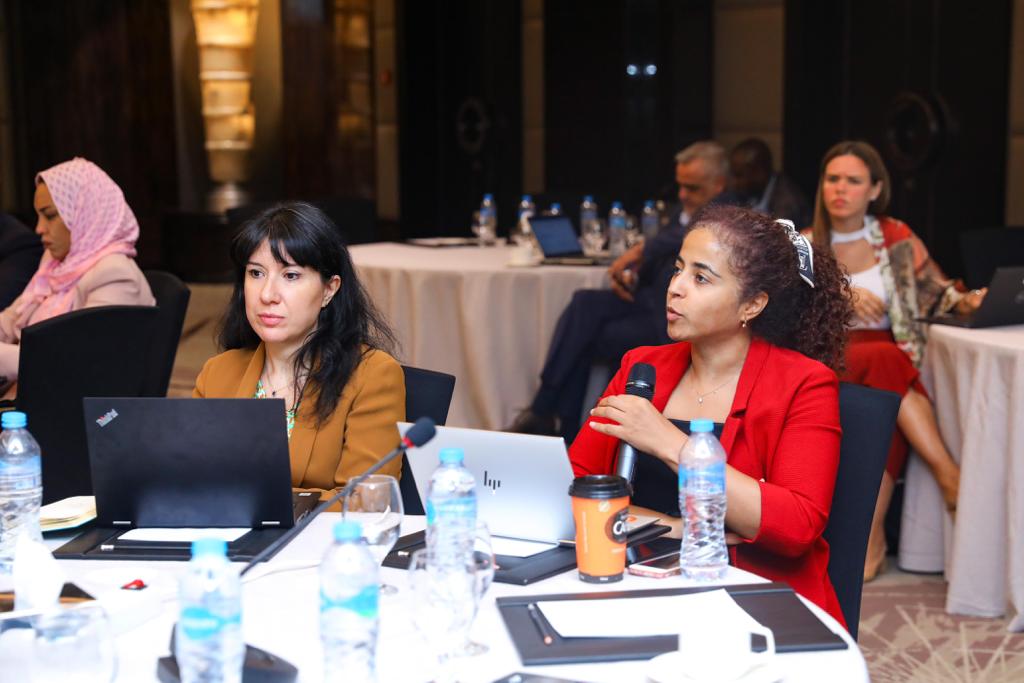 المشاط تستقبل بعثة فنية من صندوق الاستثمار في المناخ