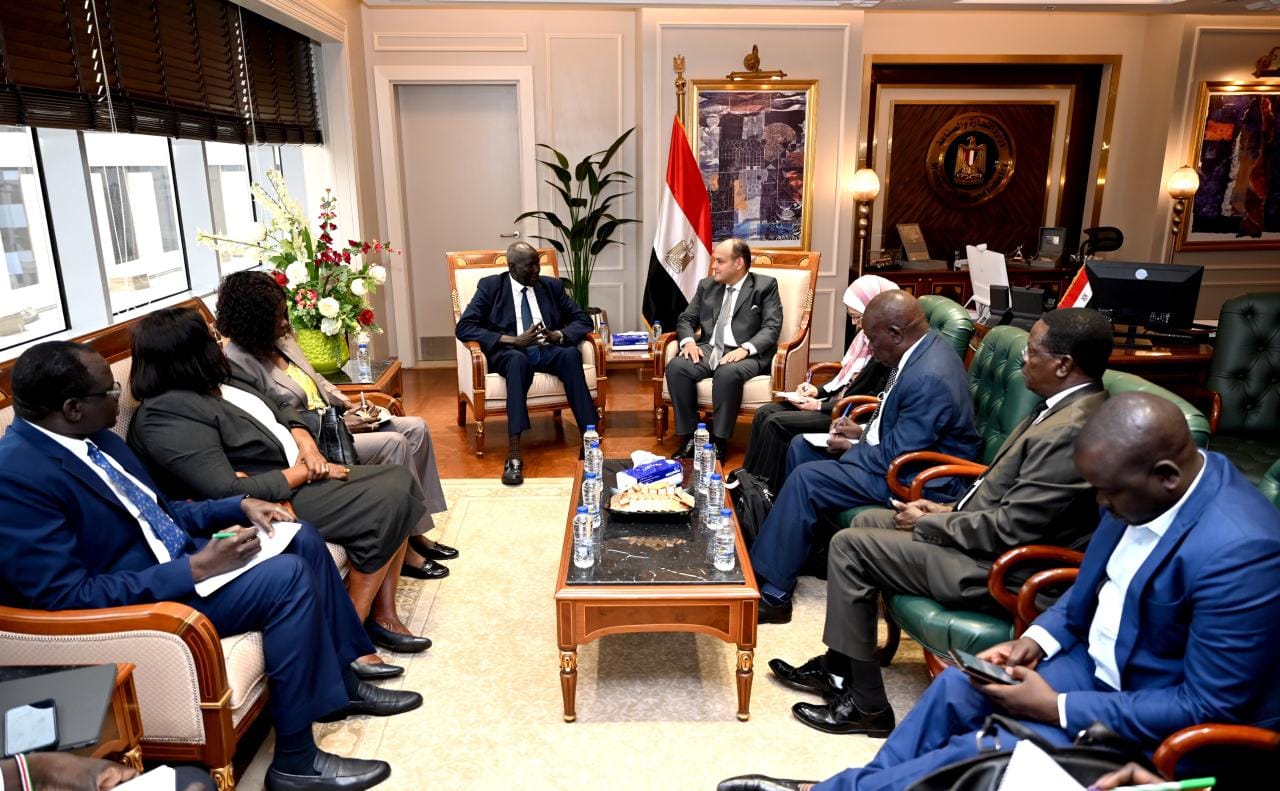 سبل تعزيز العلاقات الاقتصادية بين مصر وجنوب السودان