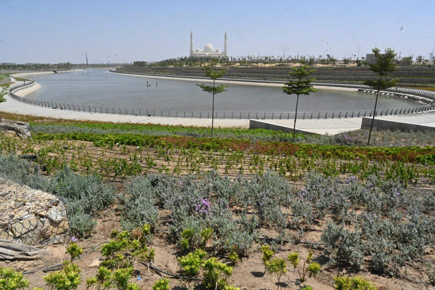 مشروع الحدائق المركزية بالعاصمة الإدارية الجديدة