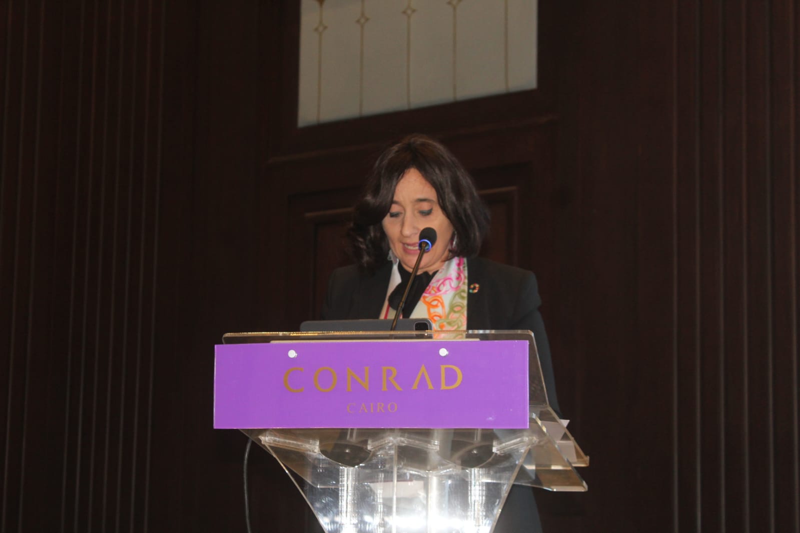 معهد التخطيط القومي يشارك في مؤتمر