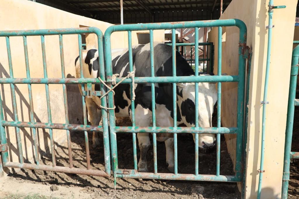 وزير الزراعة يفتتح أكبر مركز للتلقيح الاصطناعي بمنطقة الشرق الأوسط
