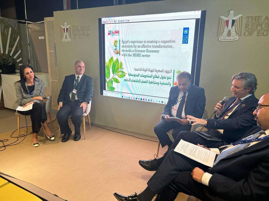 باسل رحمي خلال مشاركته في جلسة مؤتمر المناخ COP28