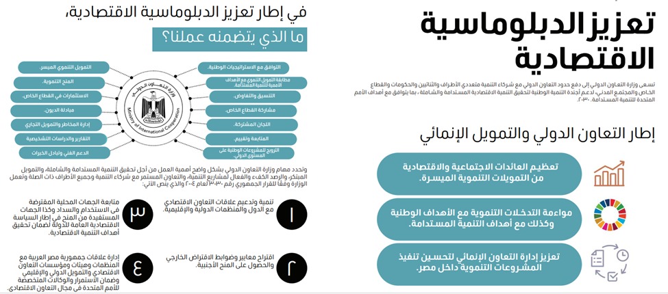 المشاط تعرض تقرير