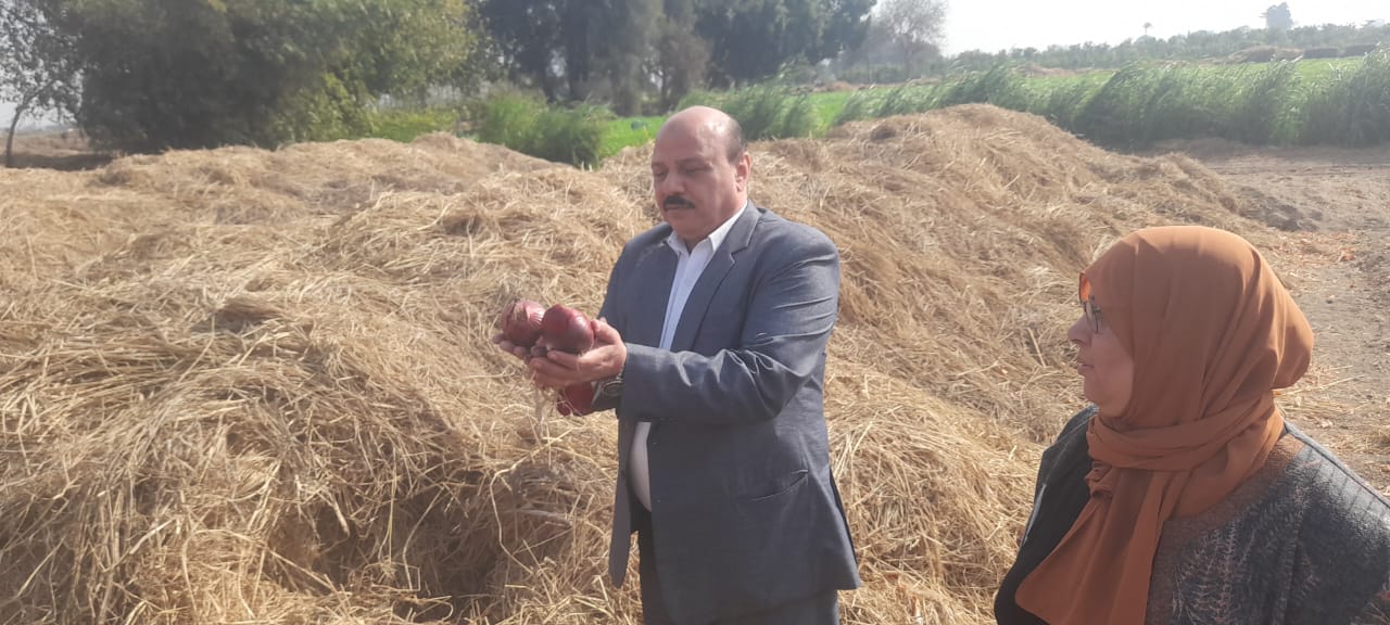 حملات تفتيشية على مفارش البصل بمحافظات الجمهورية