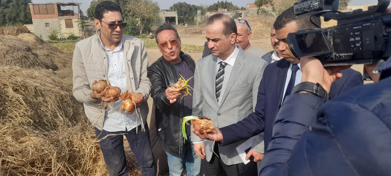 حملات تفتيشية على مفارش البصل بمحافظات الجمهورية