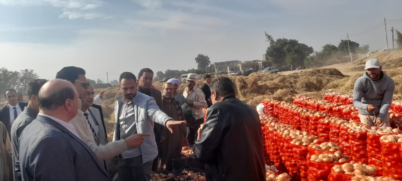 حملات تفتيشية على مفارش البصل بمحافظات الجمهورية