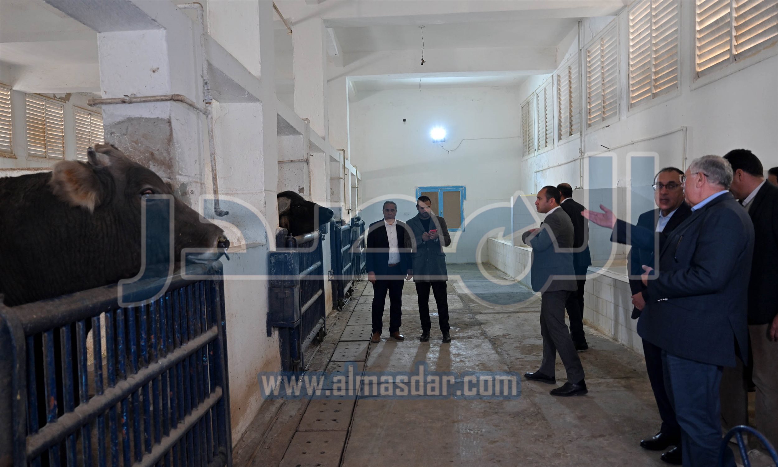 رئيس الوزراء يتفقد مركز التلقيح الاصطناعي المطور بالعامرية