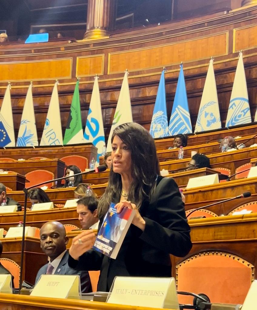 المشاط تلقى كلمة مصر أمام القمة الإيطالية- الأفريقية