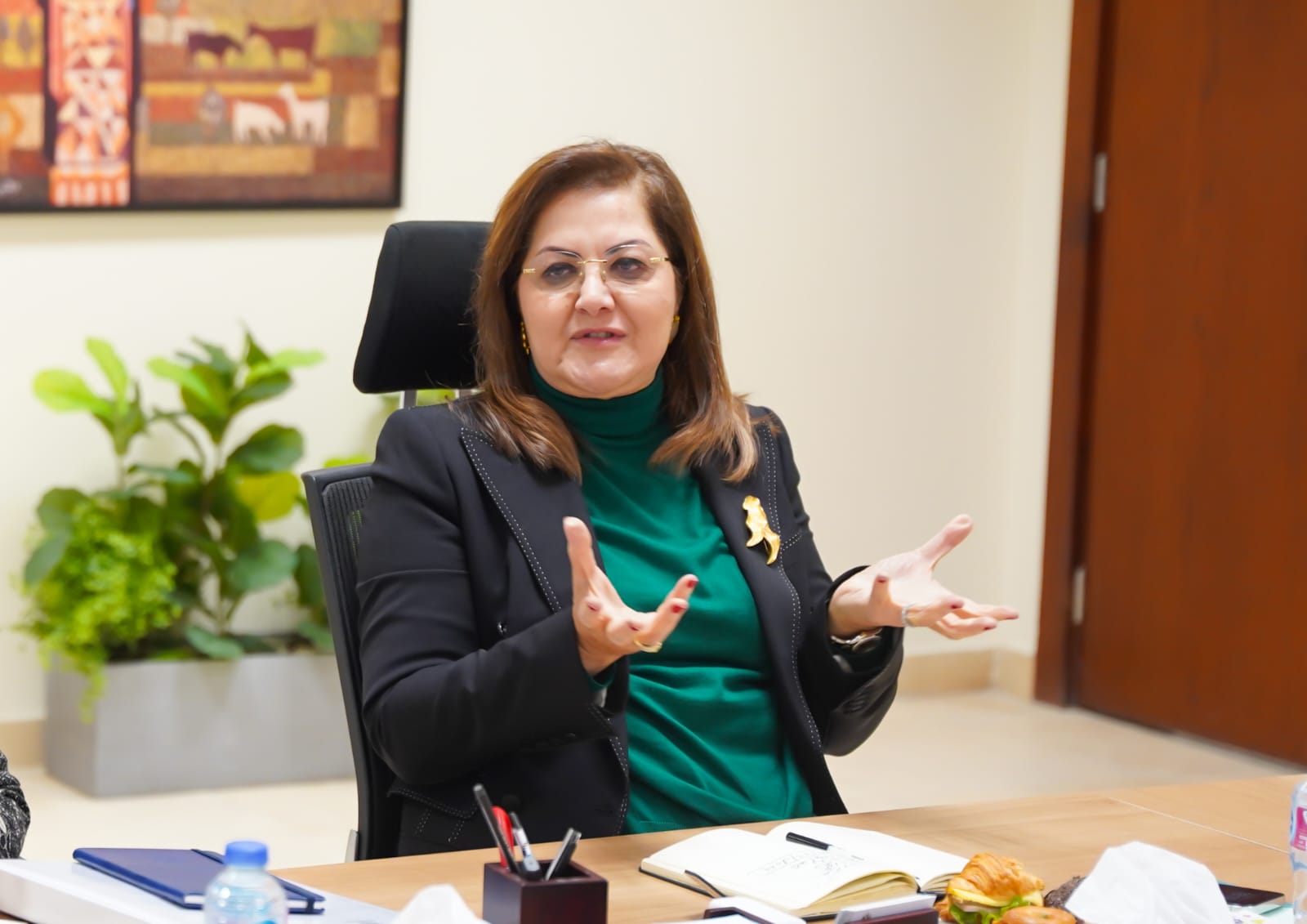 وزيرة التخطيط تتابع الموقف التنفيذي لمشروع تنمية الأسرة