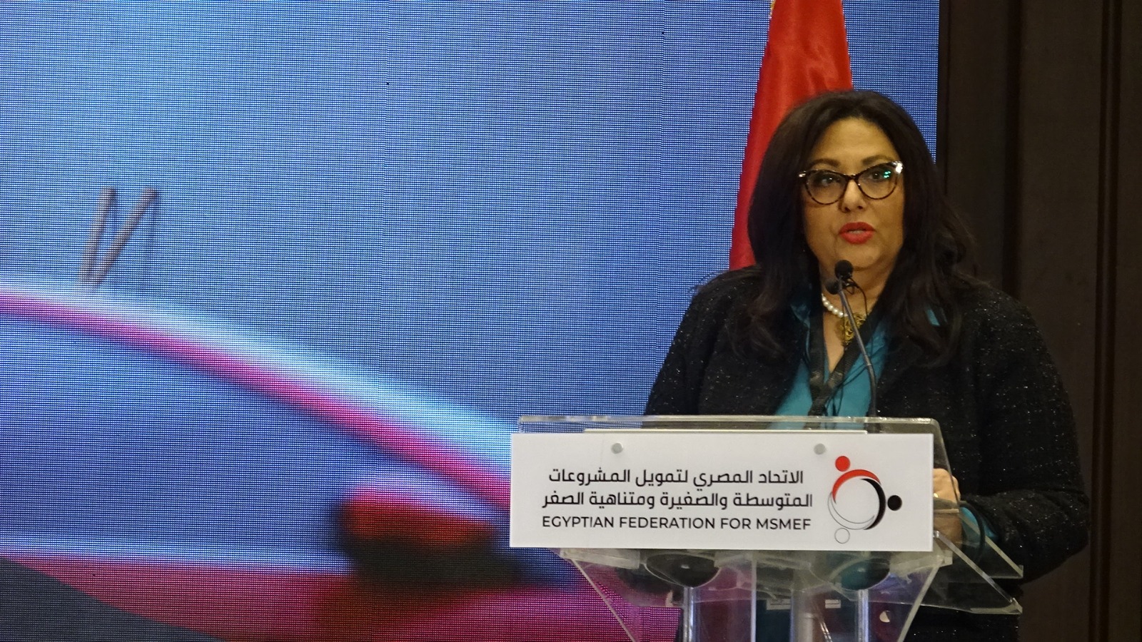 نيفين بدر الدين رئيس القطاع المركزي للتمويل متناهي الصغر