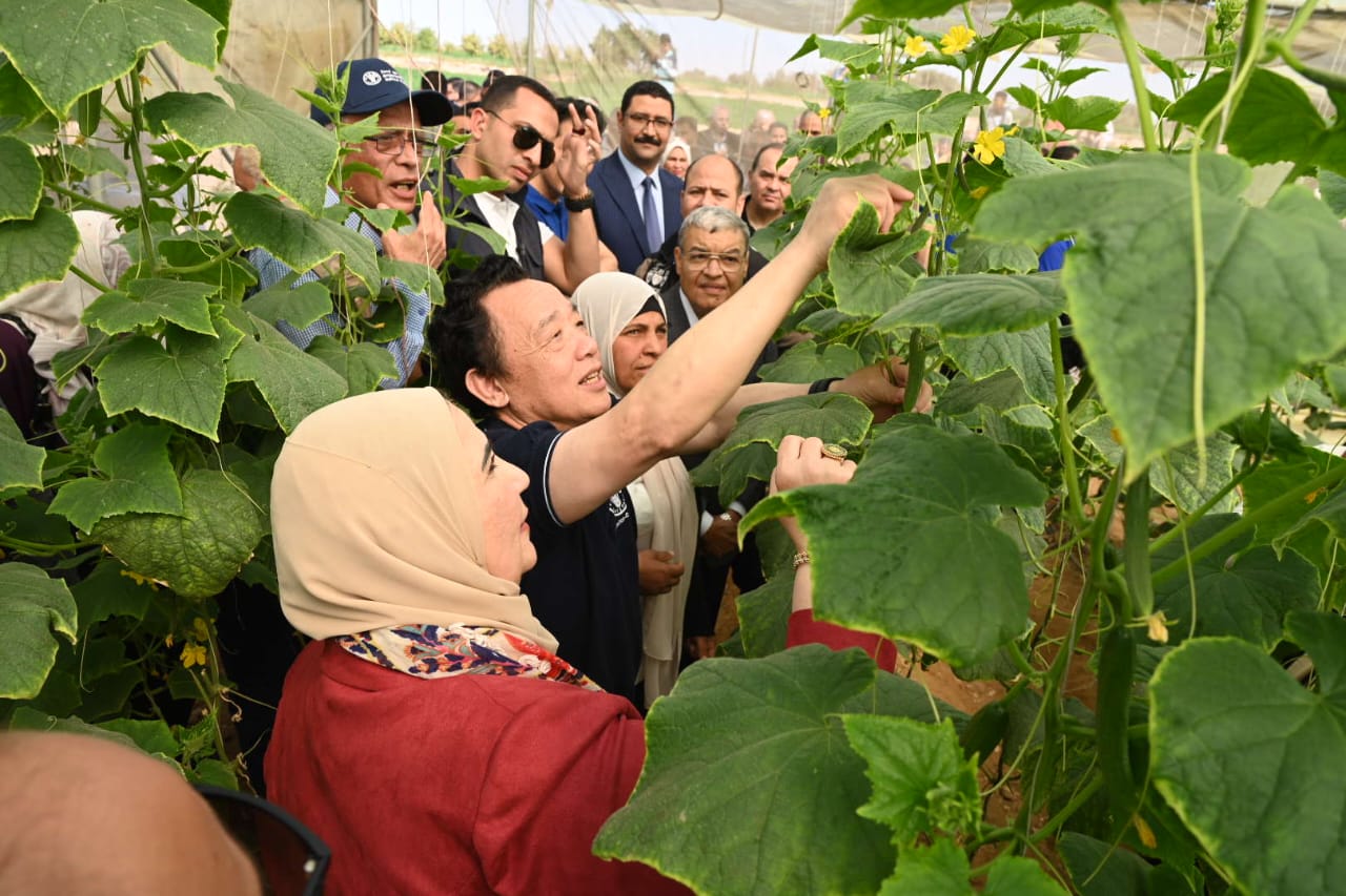 مشروع تحسين سبل العيش والتغذية في محافظة المنيا