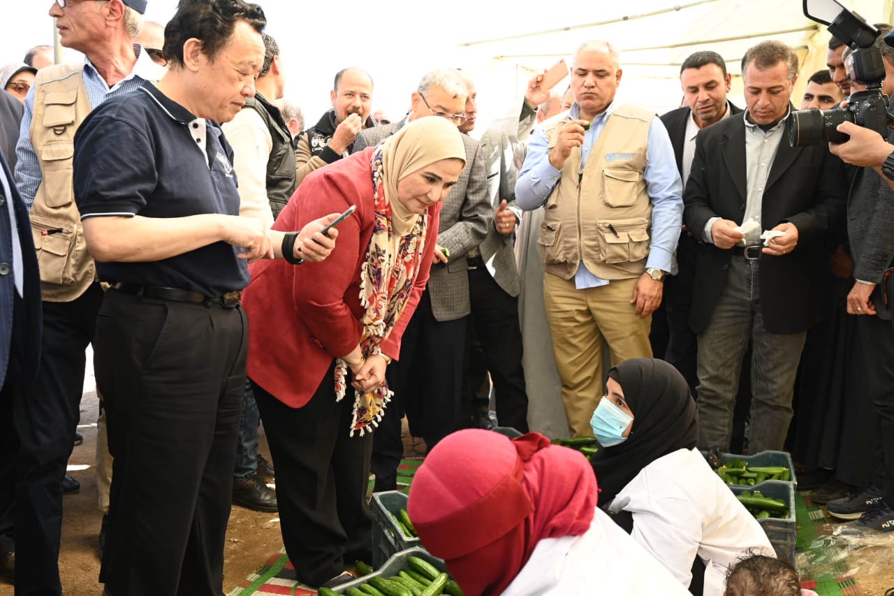مشروع تحسين سبل العيش والتغذية في محافظة المنيا