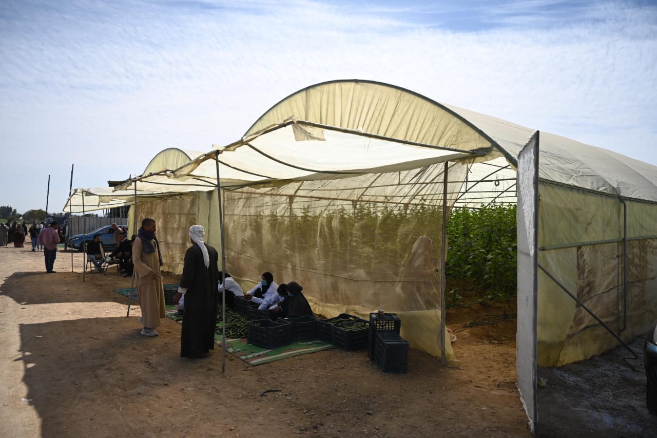 مشروع تحسين سبل العيش والتغذية في محافظة المنيا