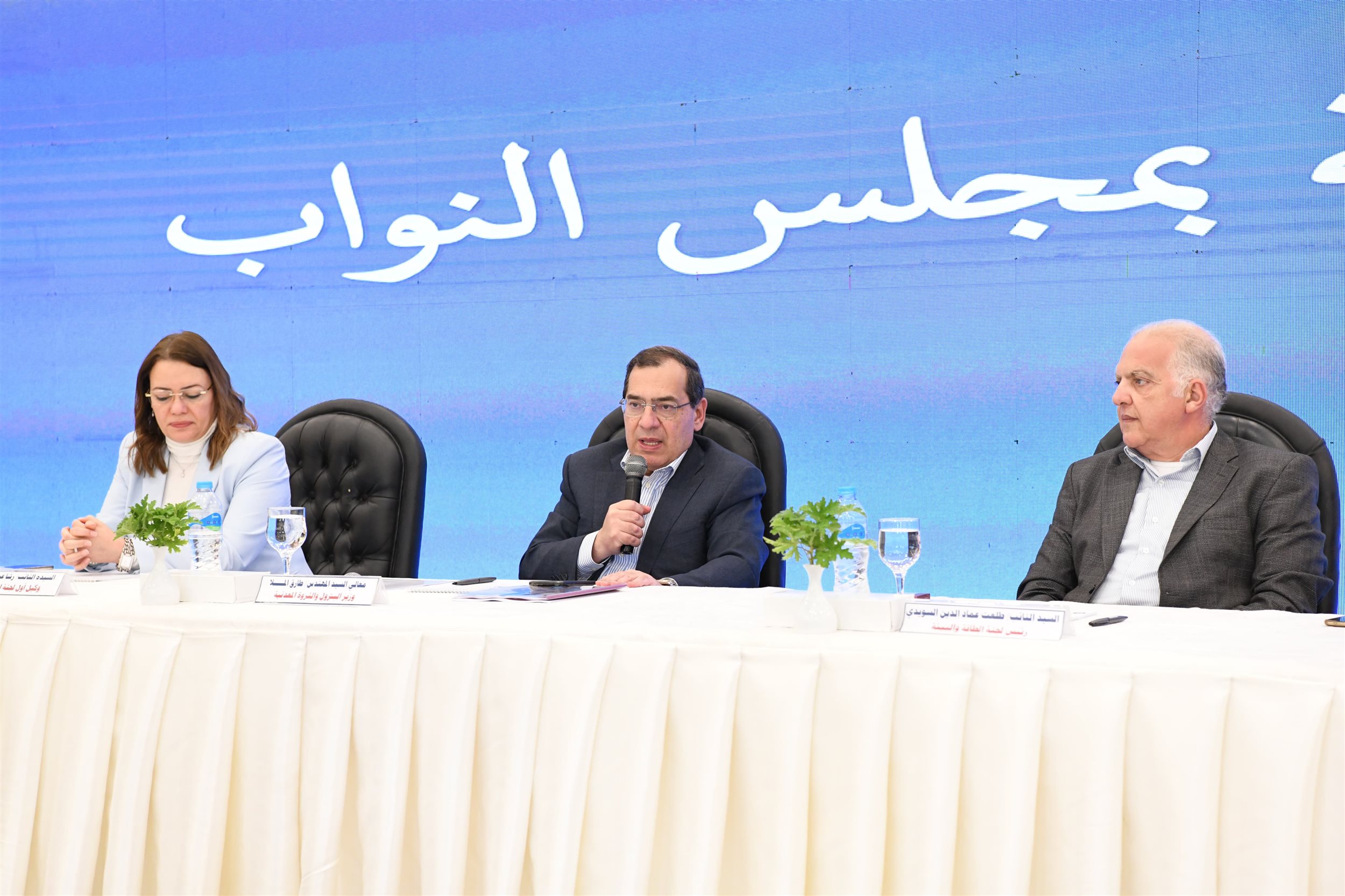 وزير البترول مع لجنة الطاقة والبيئة بمجلس النواب