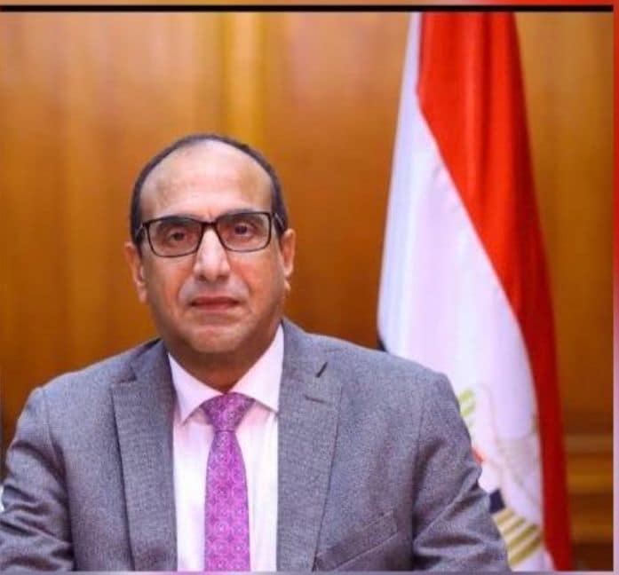 محمد عبد الفضيل النائب الأول لرئيس مجلس إدارة بنك ناصر