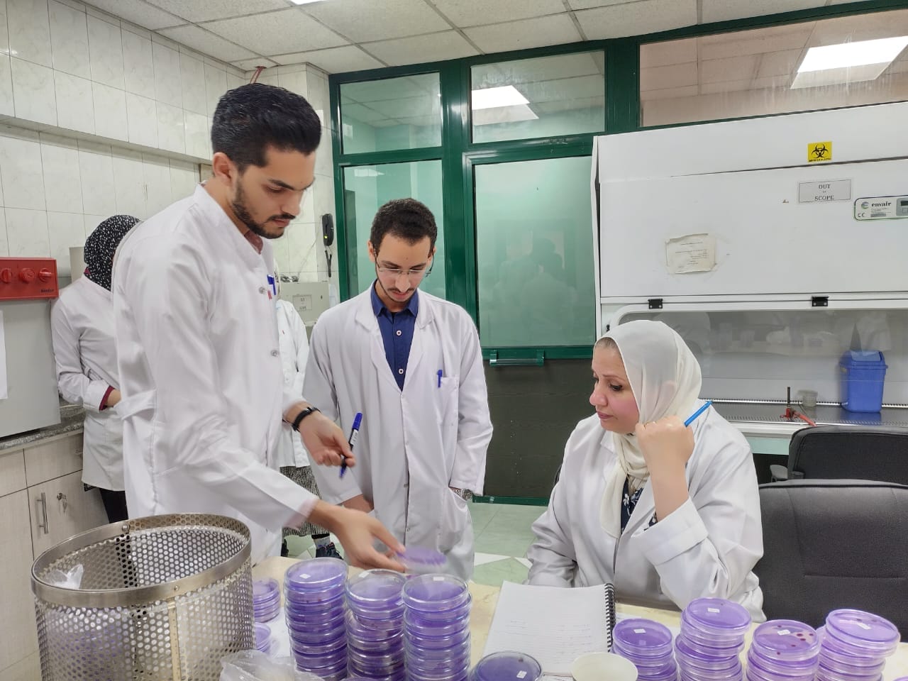 مشروع حصر ومكافحة مرض العفن البني في البطاطس