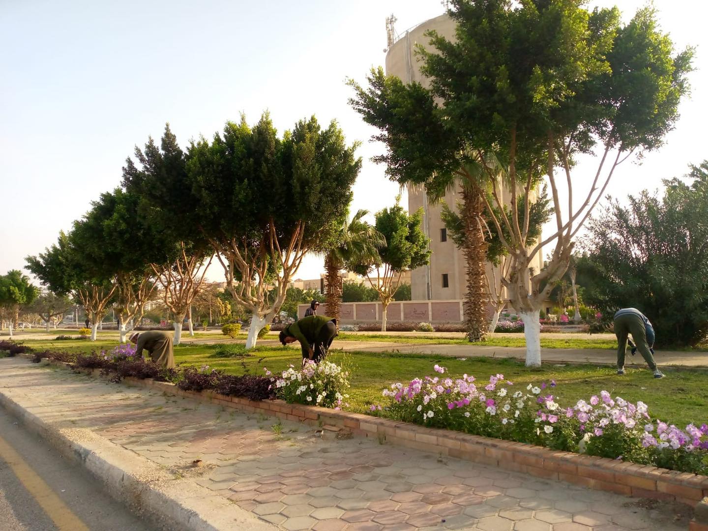 تشكيل مجموعة عمل لمتابعة سير العمل بالمرافق بالمدن الجديدة