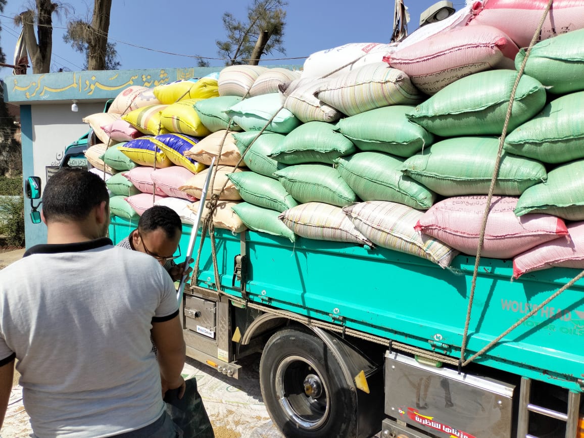 البنك الزراعي المصري يبدأ استلام محصول القمح من المزارعين