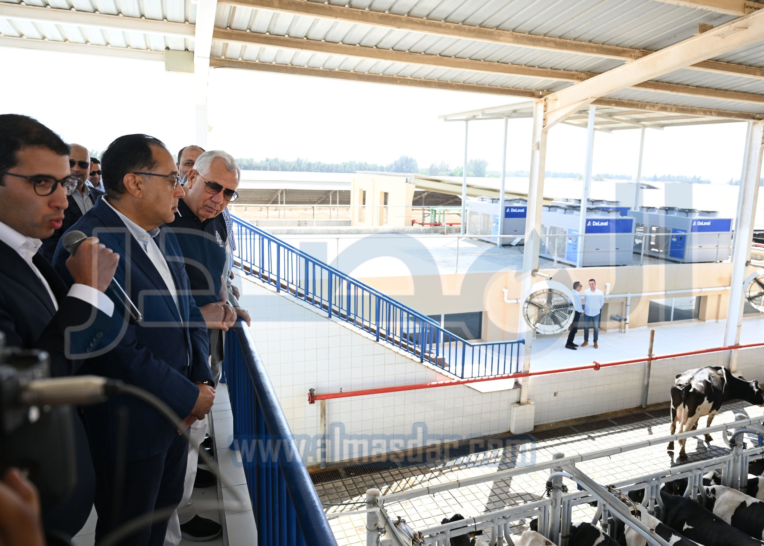 رئيس الوزراء يتفقد مشروعات شركة الإسكندرية الزراعية