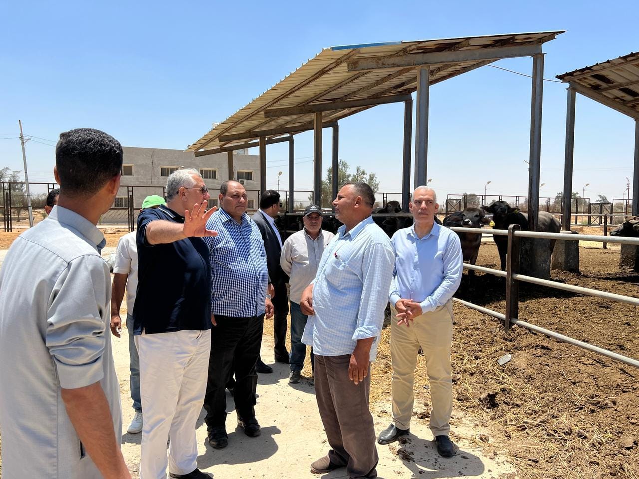 وزير الزراعة يتابع الأصول التابعة للوزارة في العامرية