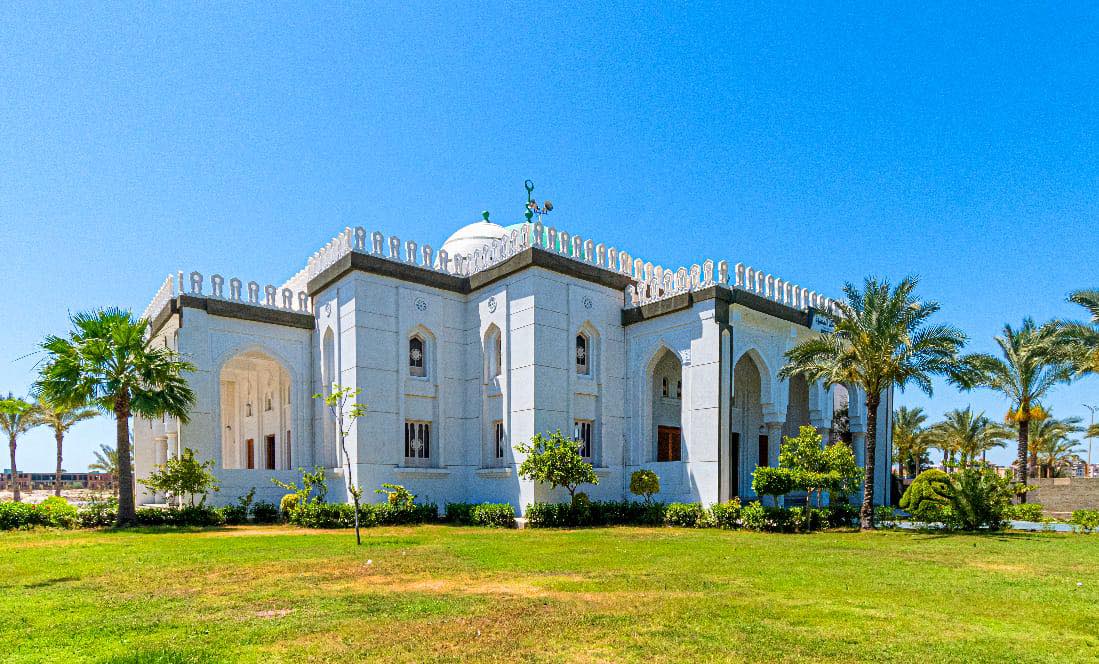 زراعة أكثر من مليون م2 مسطحات خضراء فى دمياط الجديدة