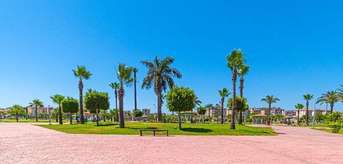 زراعة أكثر من مليون م2 مسطحات خضراء فى دمياط الجديدة