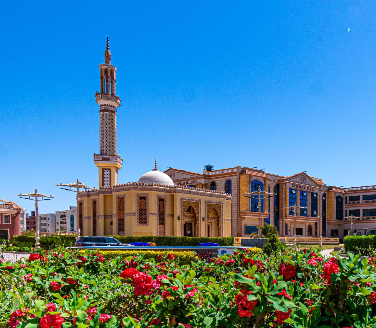 زراعة أكثر من مليون م2 مسطحات خضراء فى دمياط الجديدة
