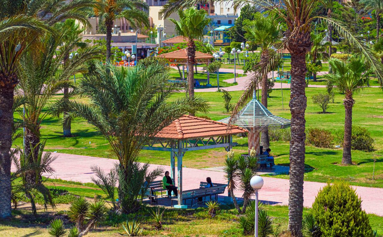 زراعة أكثر من مليون م2 مسطحات خضراء فى دمياط الجديدة
