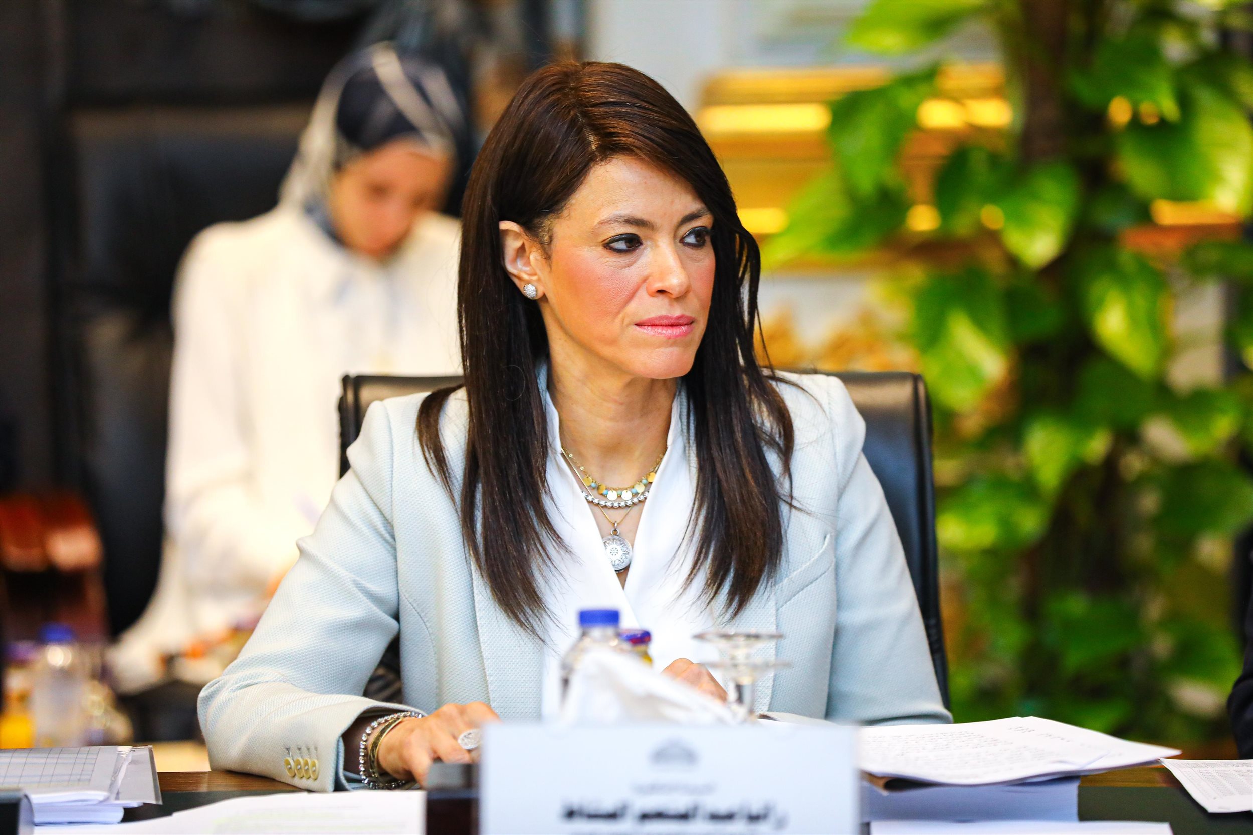 المشاط في اجتماع اللجنة الخاصة المُشكلة من مجلس النواب
