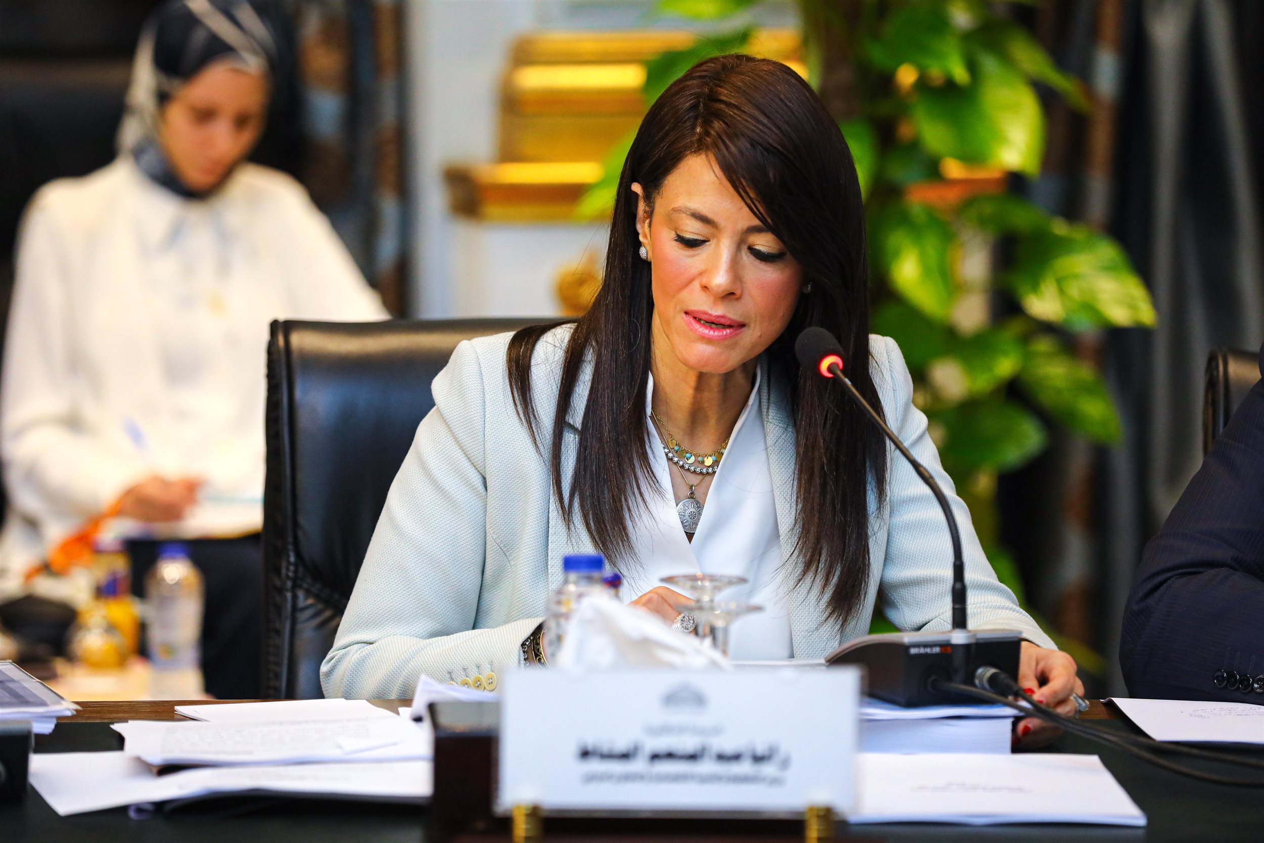 المشاط في اجتماع اللجنة الخاصة المُشكلة من مجلس النواب