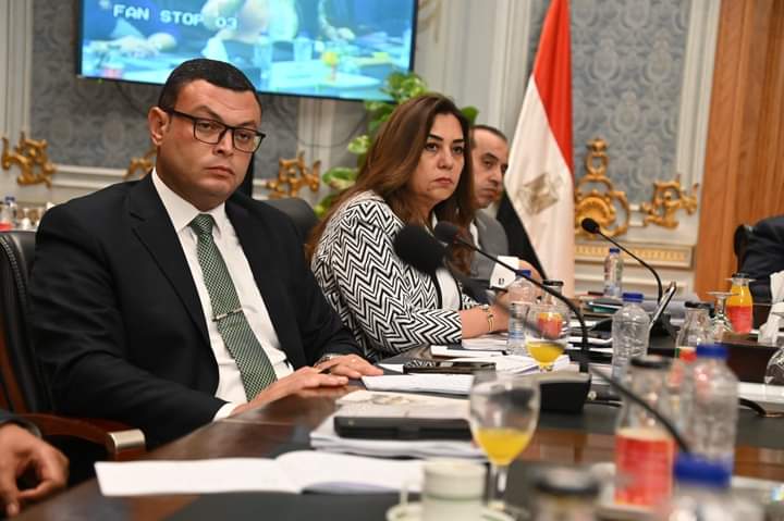 لجنة دراسة برنامج الحكومة بمجلس النواب